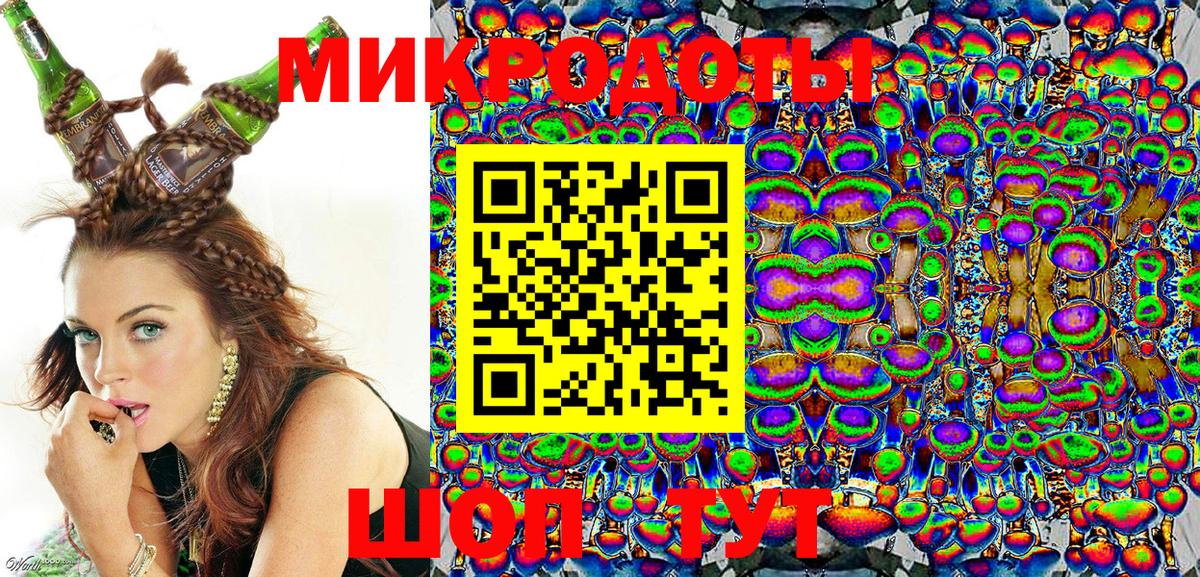 Псилоцибиновые грибы Cubensis Пыть-Ях